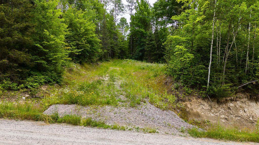 Photo 3 of 286 Halls Road E, Magnetawan — HOMEH