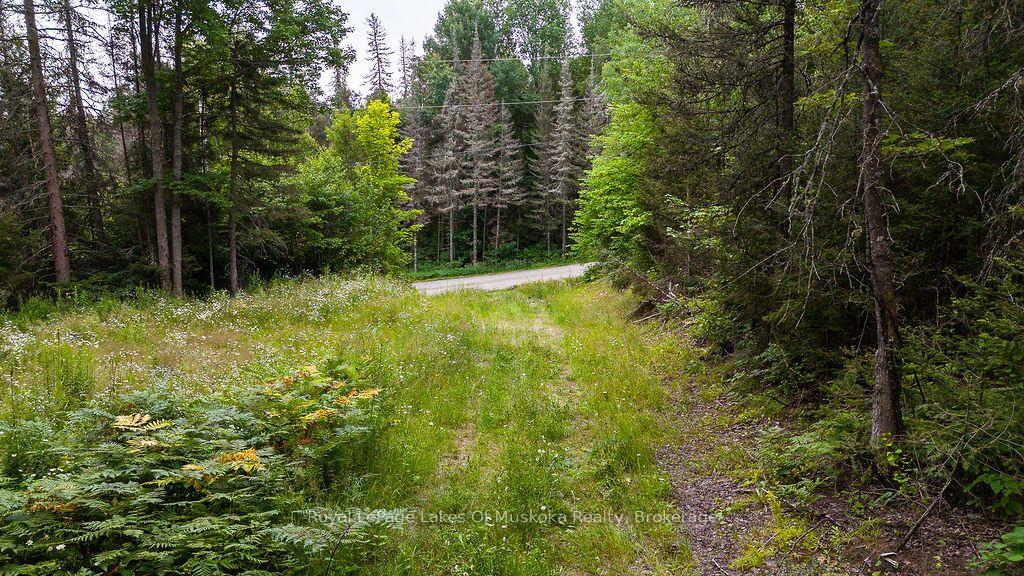 Photo 4 of 286 Halls Road E, Magnetawan — HOMEH