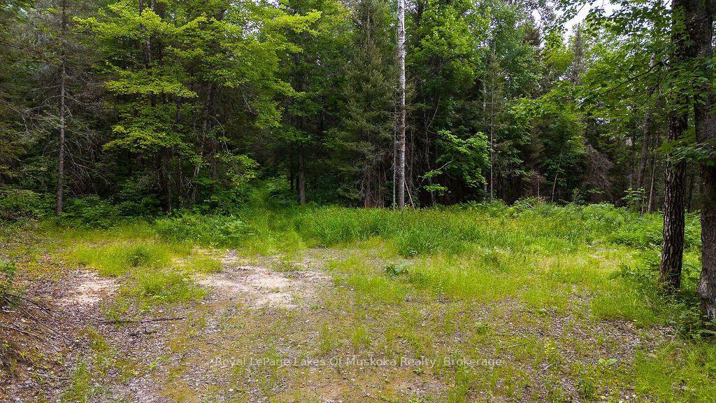 Photo 5 of 286 Halls Road E, Magnetawan — HOMEH