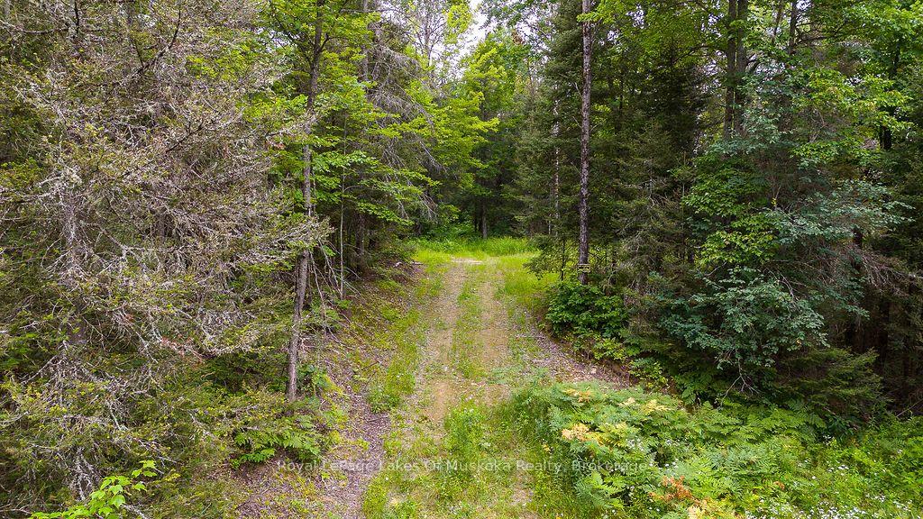 Photo 6 of 286 Halls Road E, Magnetawan — HOMEH