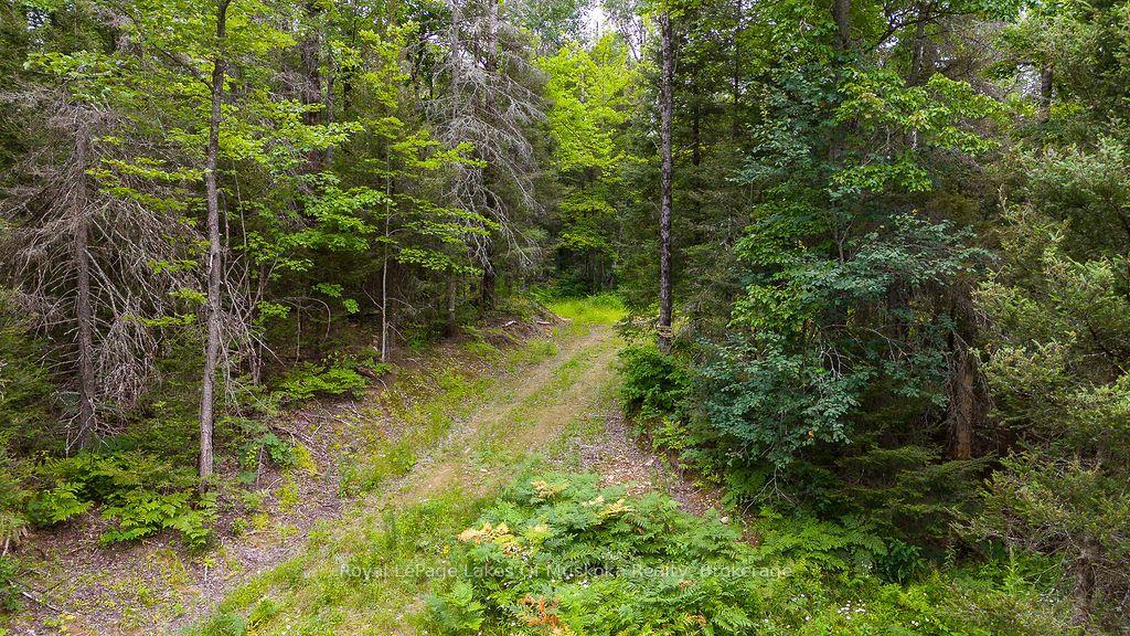 Photo 7 of 286 Halls Road E, Magnetawan — HOMEH