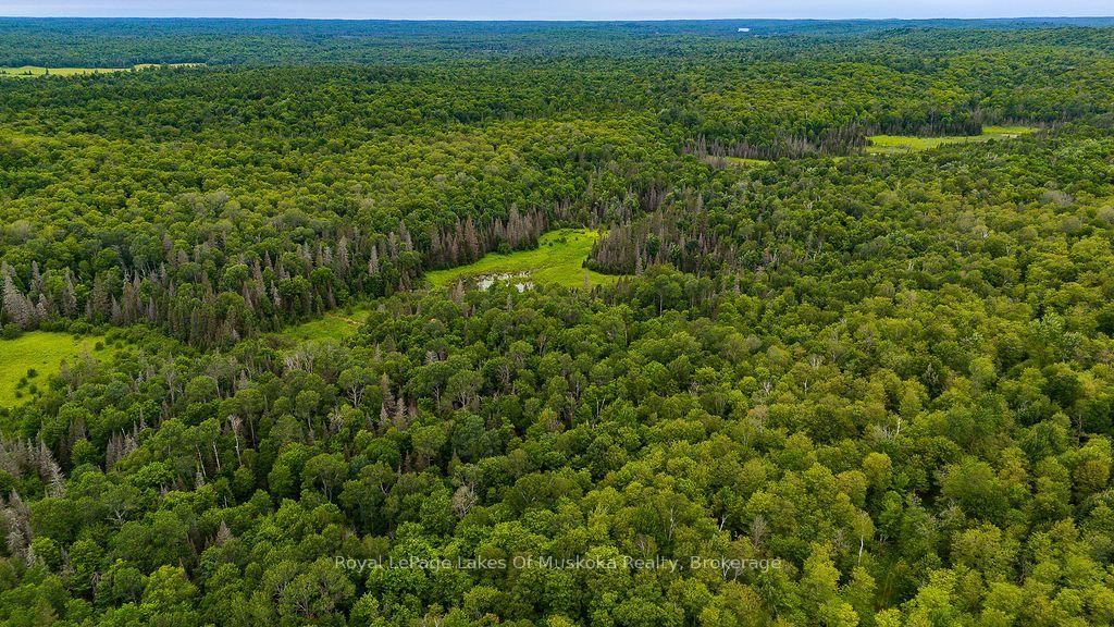 Photo 8 of 286 Halls Road E, Magnetawan — HOMEH