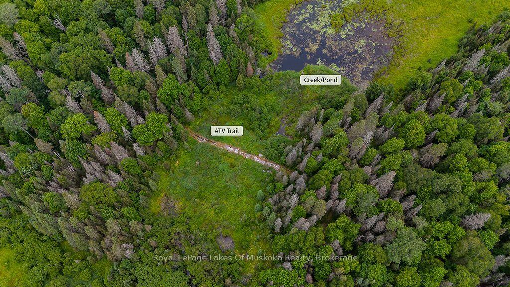 Photo 9 of 286 Halls Road E, Magnetawan — HOMEH