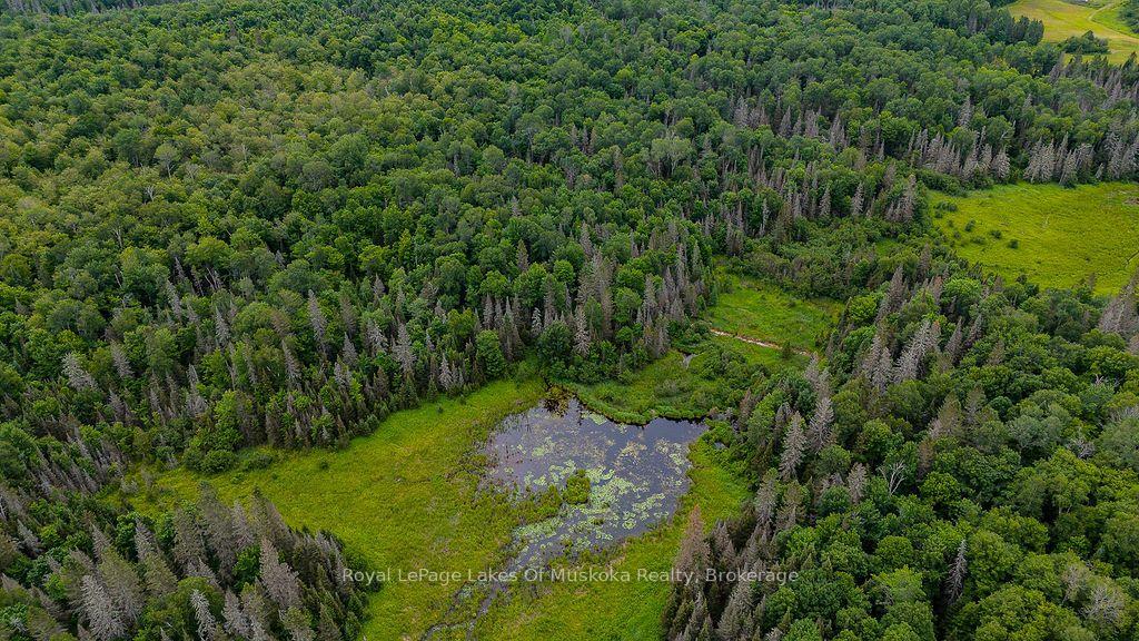 Photo 10 of 286 Halls Road E, Magnetawan — HOMEH