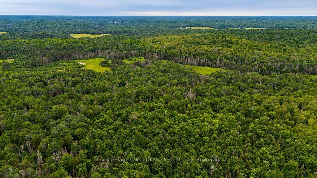 Photo 11 of 286 Halls Road E, Magnetawan — HOMEH