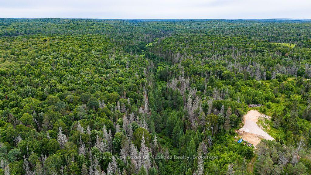Photo 12 of 286 Halls Road E, Magnetawan — HOMEH