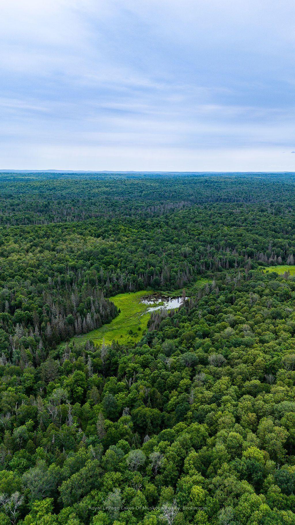 Photo 13 of 286 Halls Road E, Magnetawan — HOMEH