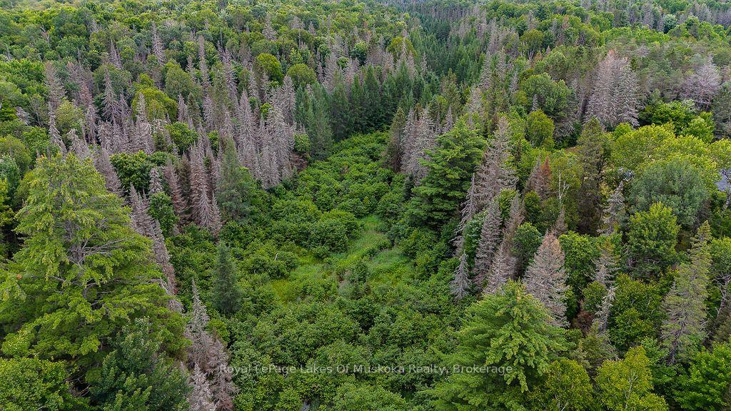 Photo 14 of 286 Halls Road E, Magnetawan — HOMEH