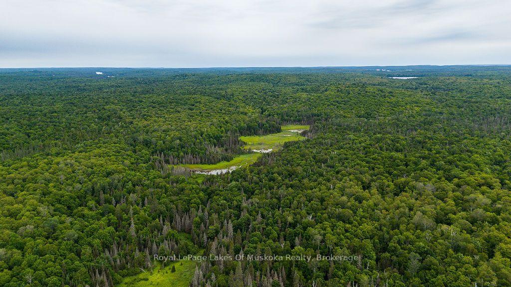 Photo 16 of 286 Halls Road E, Magnetawan — HOMEH