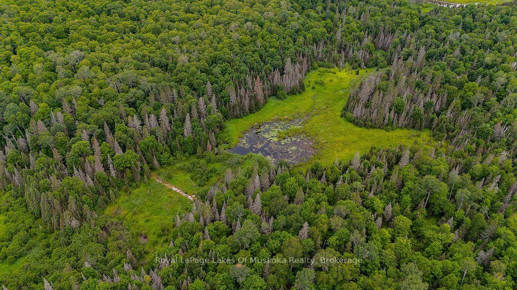 Photo 17 of 286 Halls Road E, Magnetawan — HOMEH