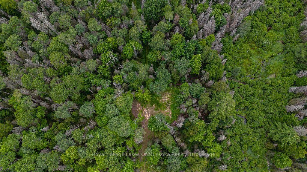 Photo 20 of 286 Halls Road E, Magnetawan — HOMEH