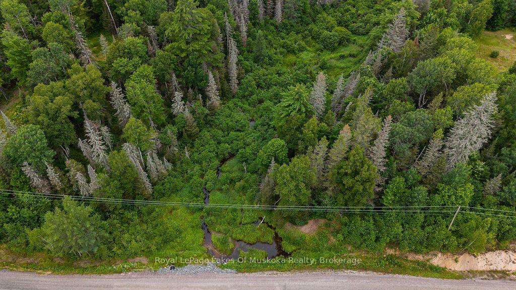 Photo 25 of 286 Halls Road E, Magnetawan — HOMEH