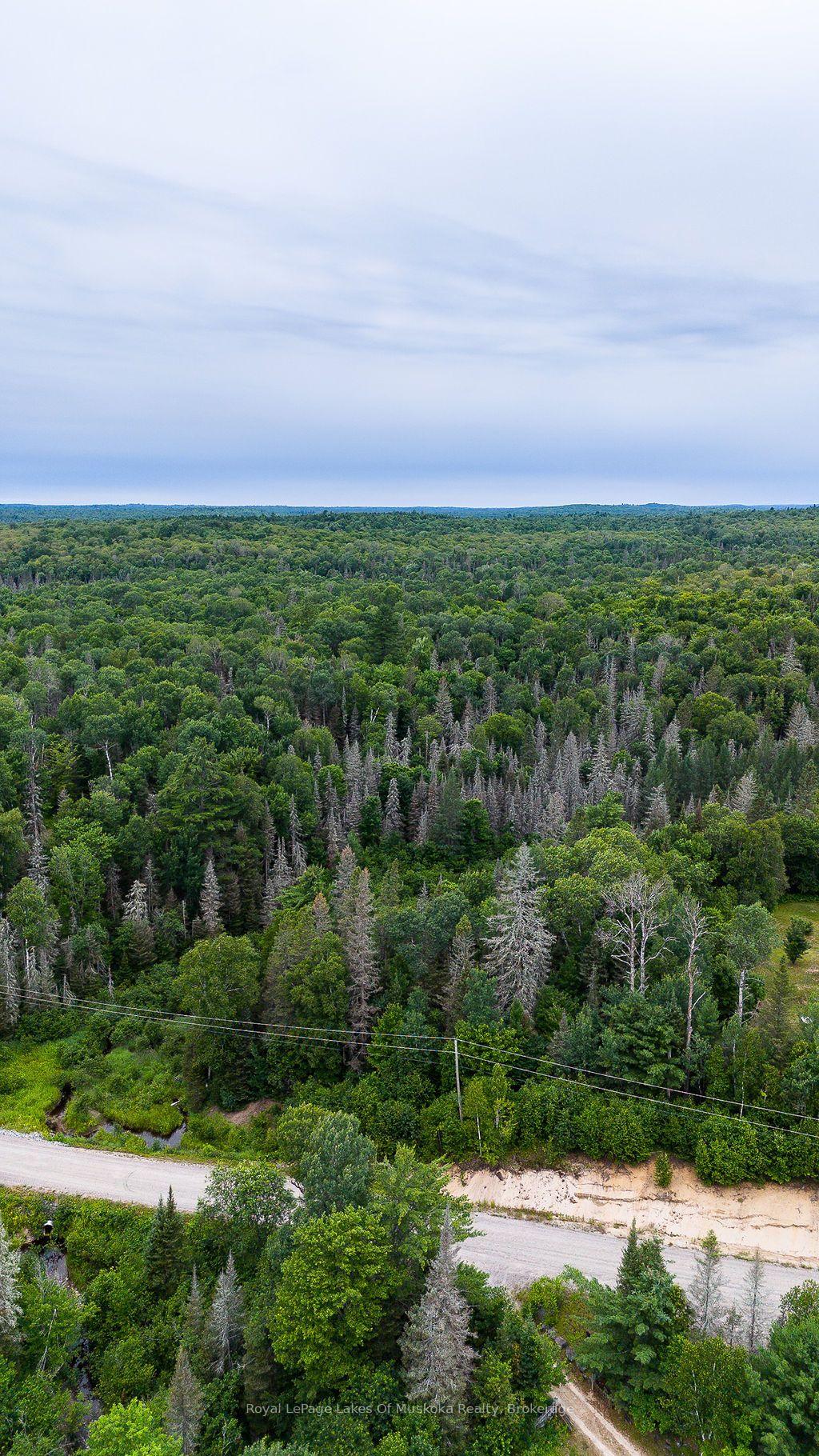 Photo 27 of 286 Halls Road E, Magnetawan — HOMEH