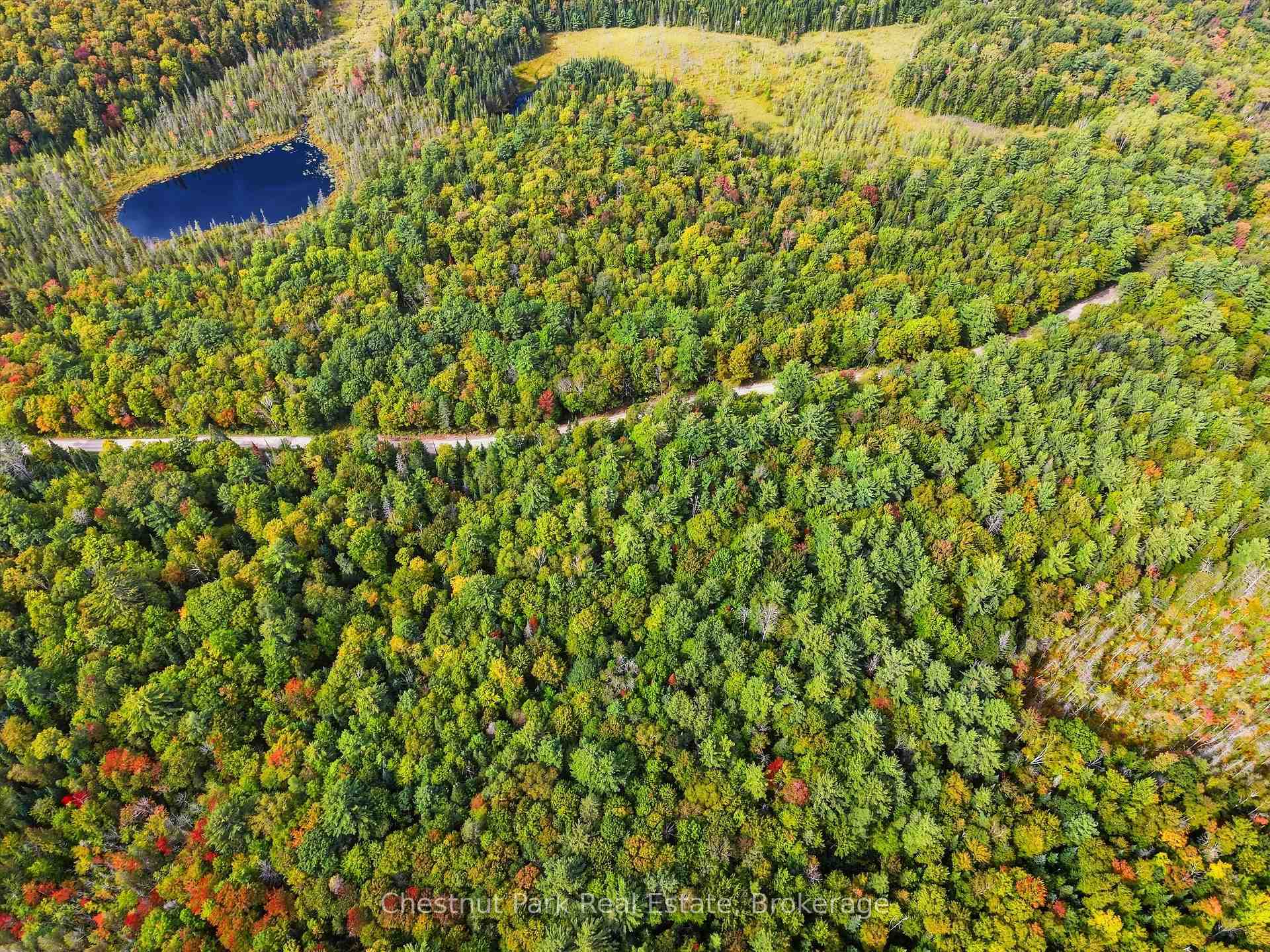 Photo of 00 Paint Lake Road