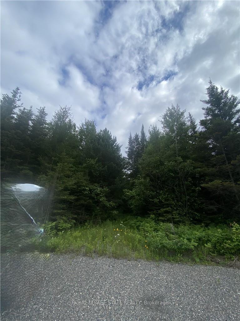 Photo 8 of Lot 1 ON-17 / Trans Canada Highway, Plummer Additional — HOMEH