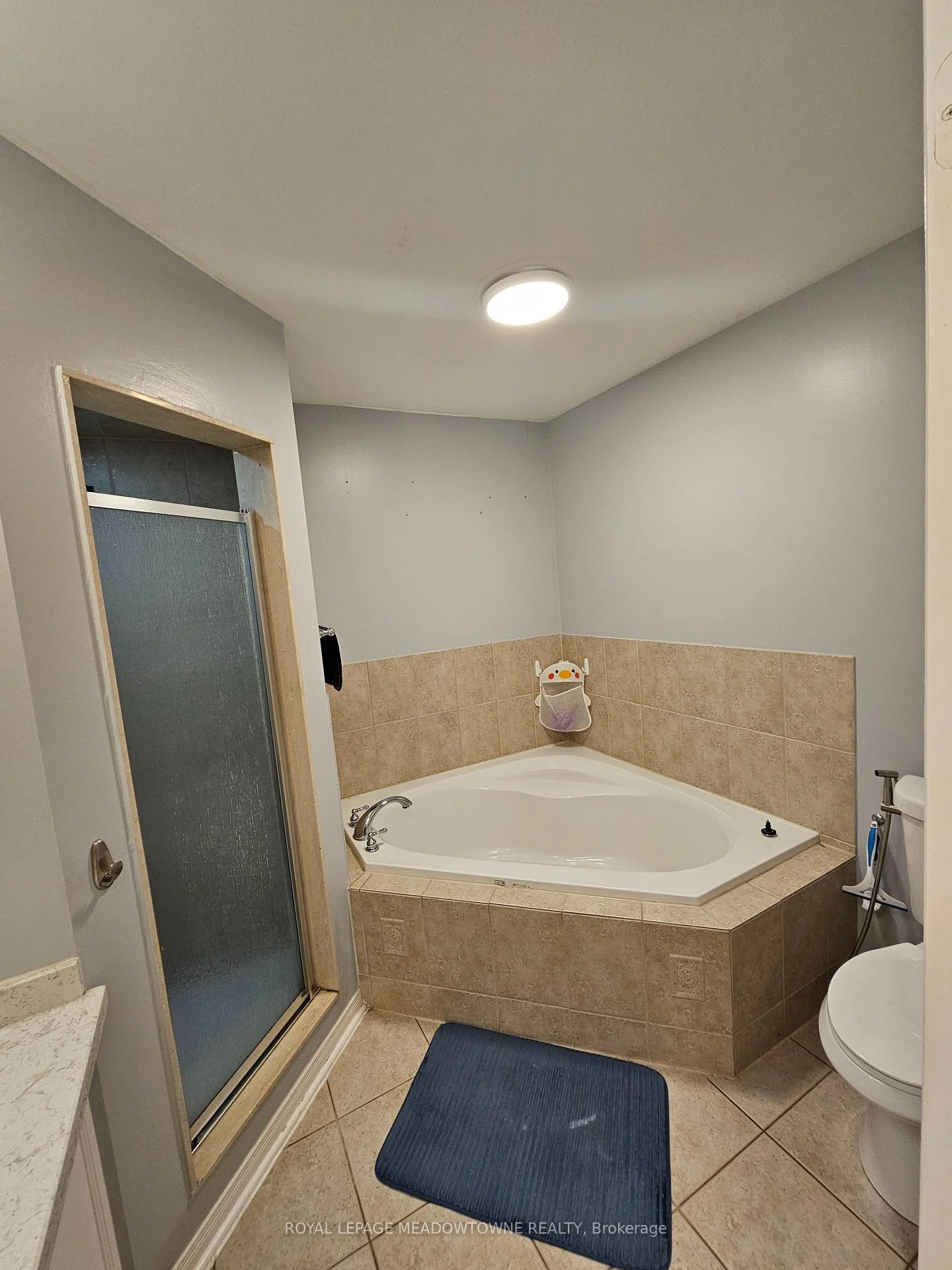Photo 19 of 250 Pettigrew Trail, Milton, Dempsey — HOMEH