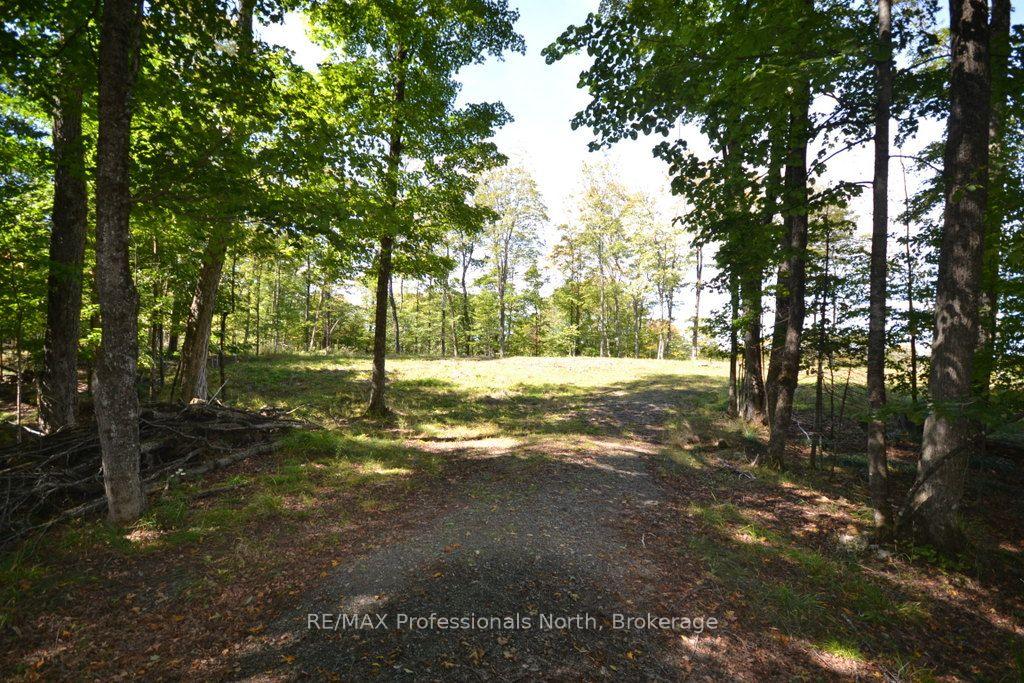 Photo of TBD Ridgeview Road
