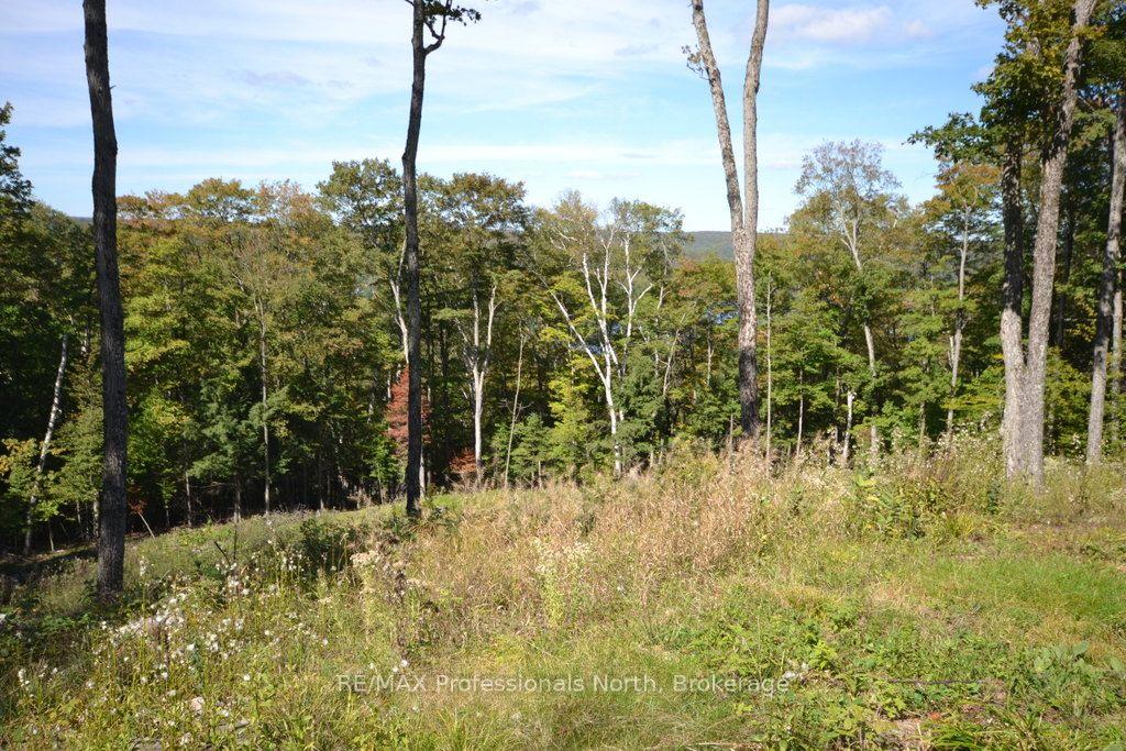 Photo 8 of Ridgeview Road, Dysart et al, Dysart — HOMEH
