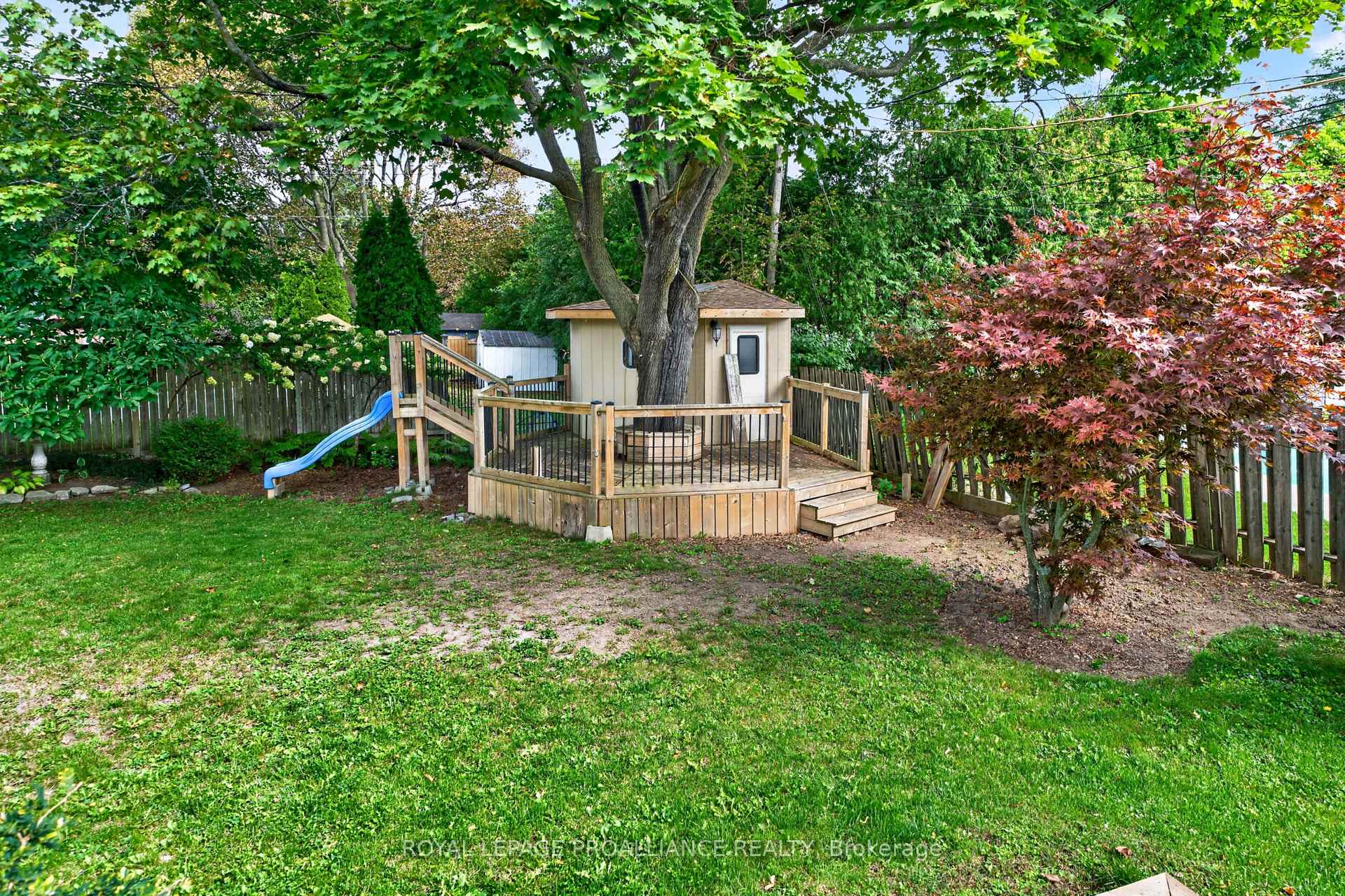 Photo 4 of 241 Olympus Avenue, Kingston, City SouthWest — HOMEH