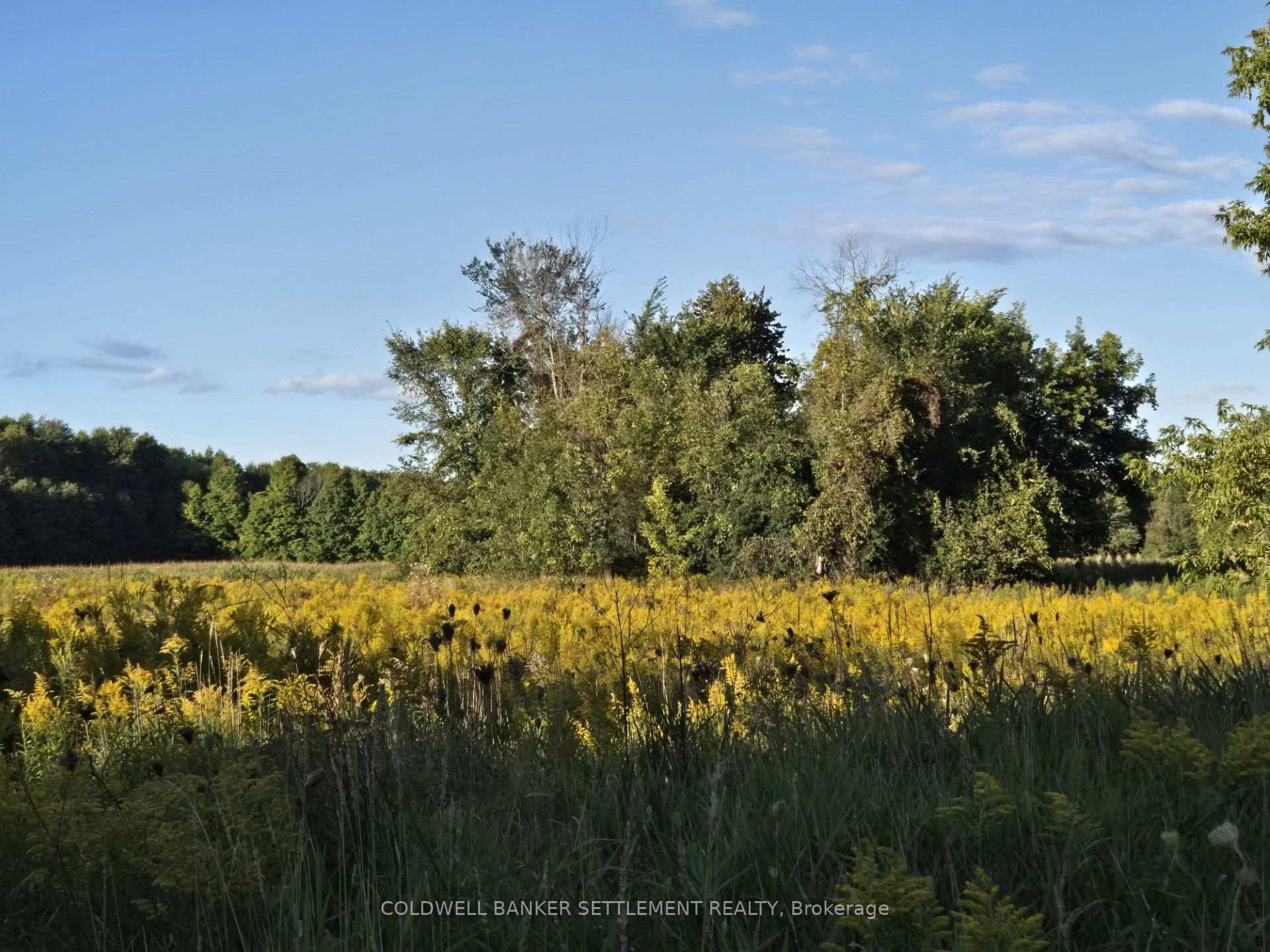 Photo 3 of Lot 3 Bush Road, Rideau Lakes, Rideau Lakes (South Crosby) Twp — HOMEH