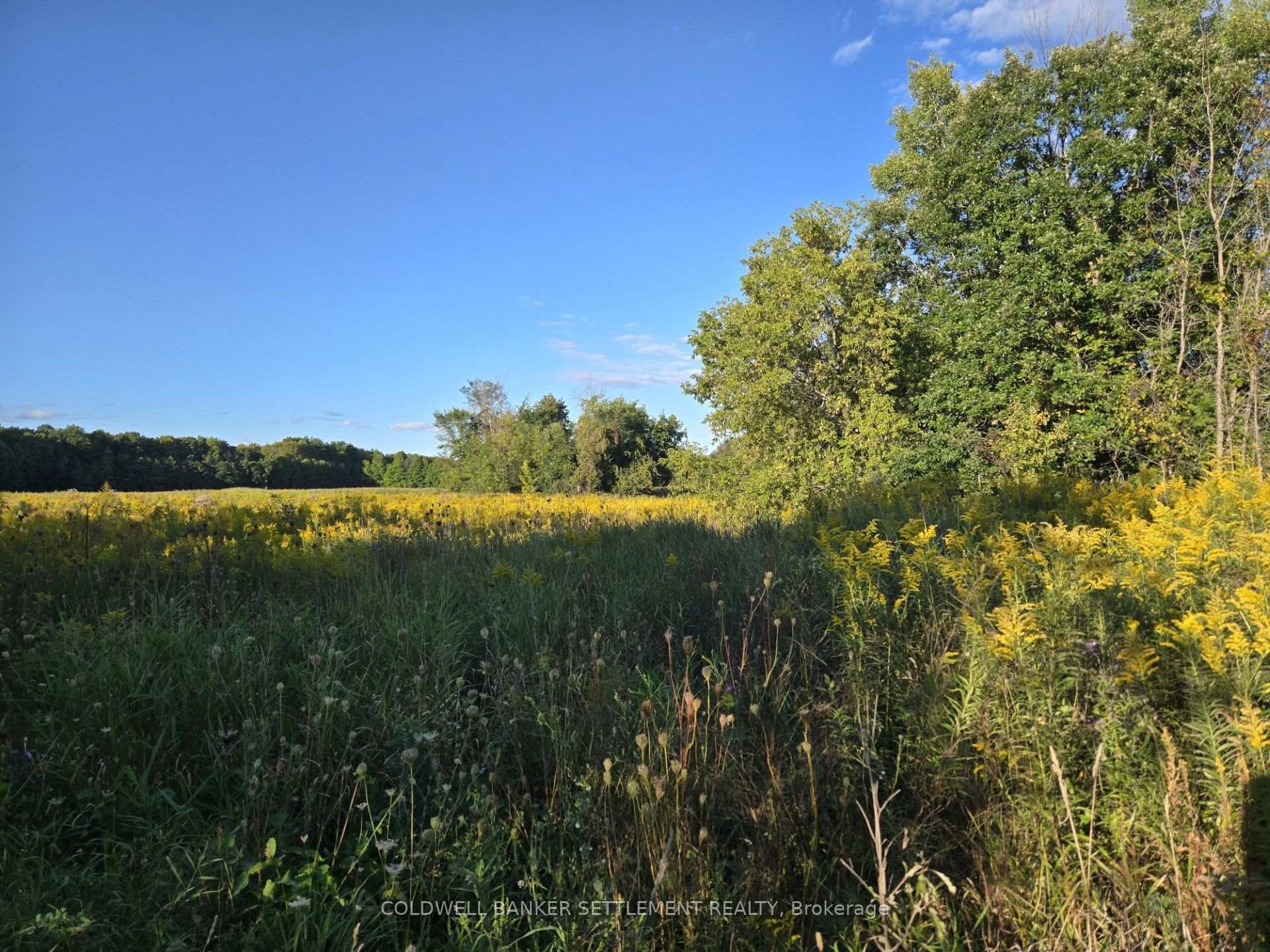 Photo 4 of Lot 3 Bush Road, Rideau Lakes, Rideau Lakes (South Crosby) Twp — HOMEH