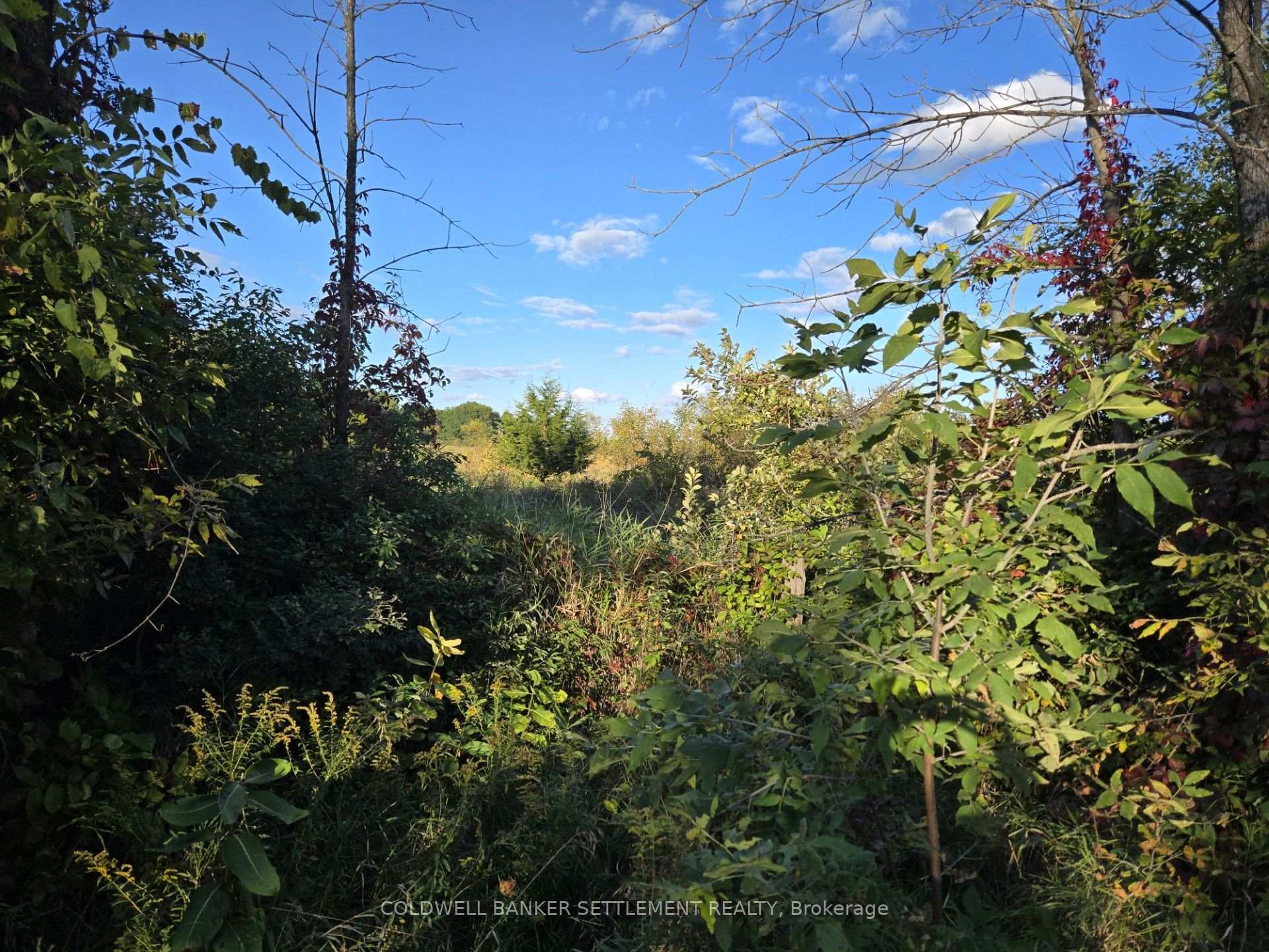 Photo 2 of 5 Bush Road, Rideau Lakes, Rideau Lakes (South Crosby) Twp — HOMEH