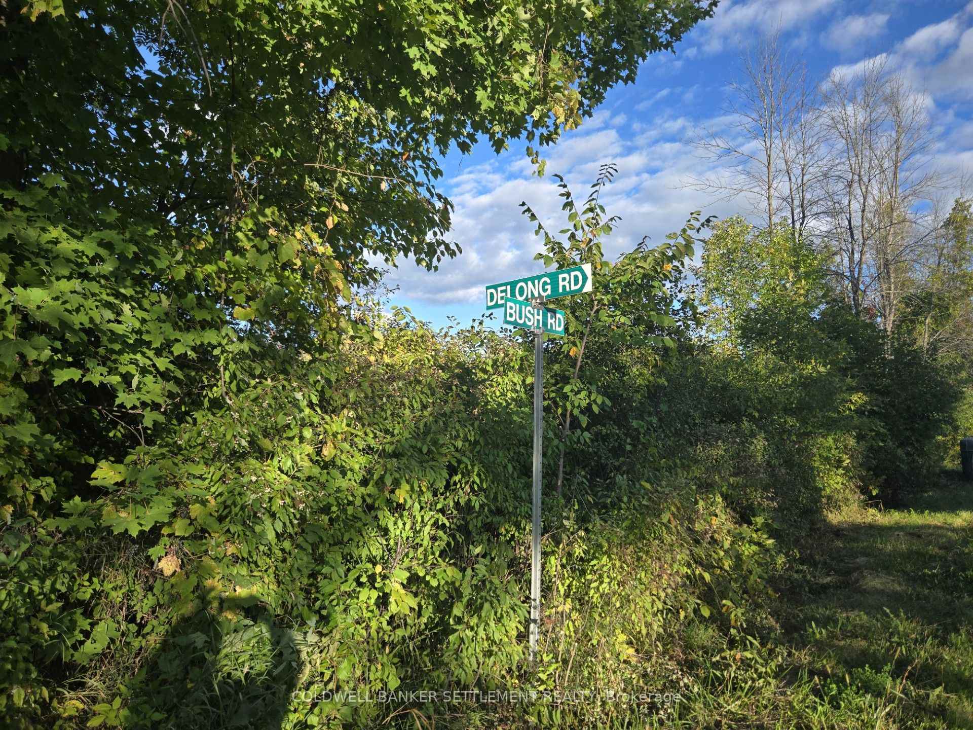 Photo 3 of 5 Bush Road, Rideau Lakes, Rideau Lakes (South Crosby) Twp — HOMEH