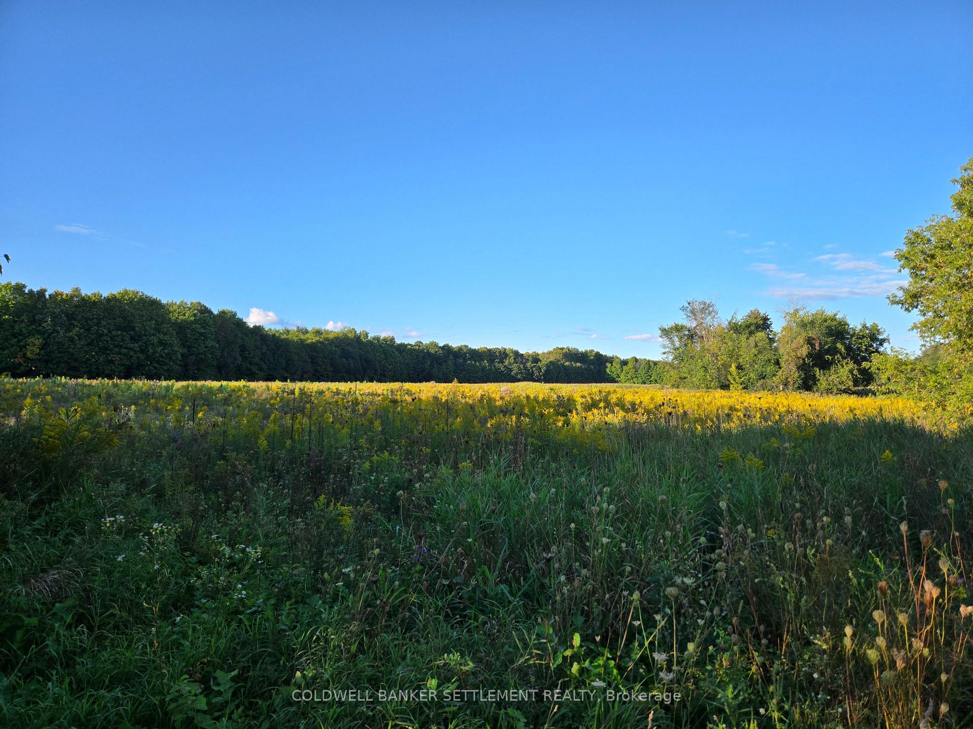 Photo 2 of Lot 2 Bush Road, Rideau Lakes, Rideau Lakes (South Crosby) Twp — HOMEH
