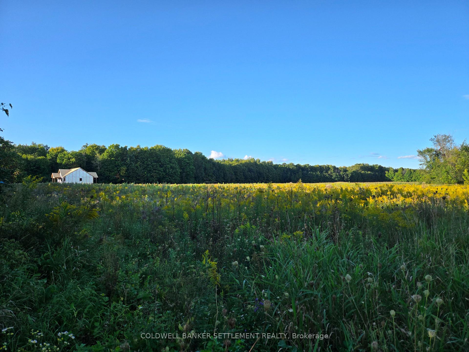 Photo 3 of Lot 2 Bush Road, Rideau Lakes, Rideau Lakes (South Crosby) Twp — HOMEH