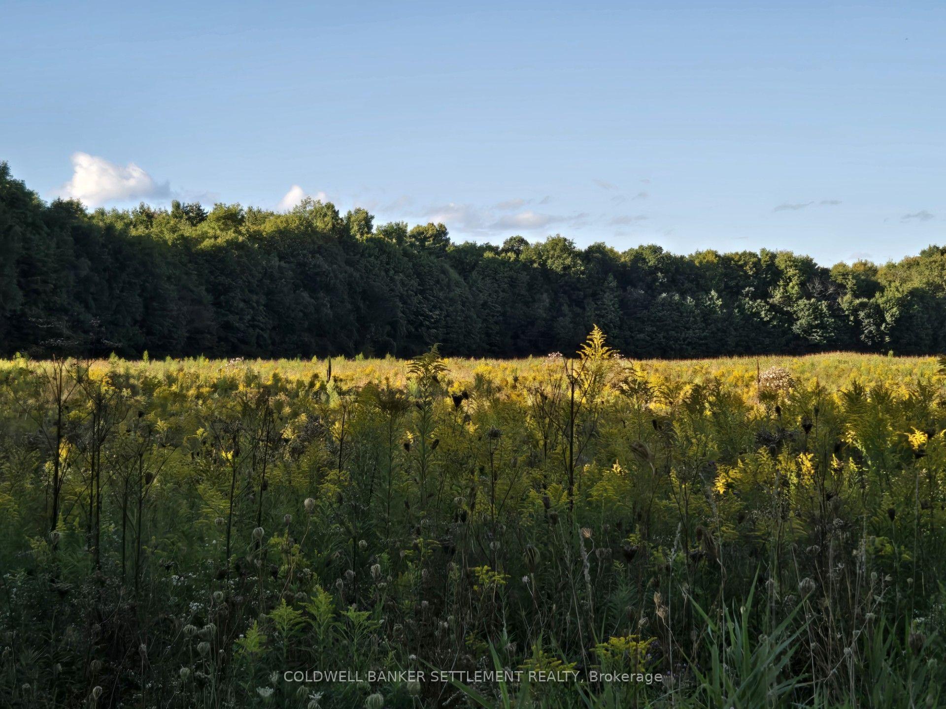 Photo 4 of Lot 2 Bush Road, Rideau Lakes, Rideau Lakes (South Crosby) Twp — HOMEH