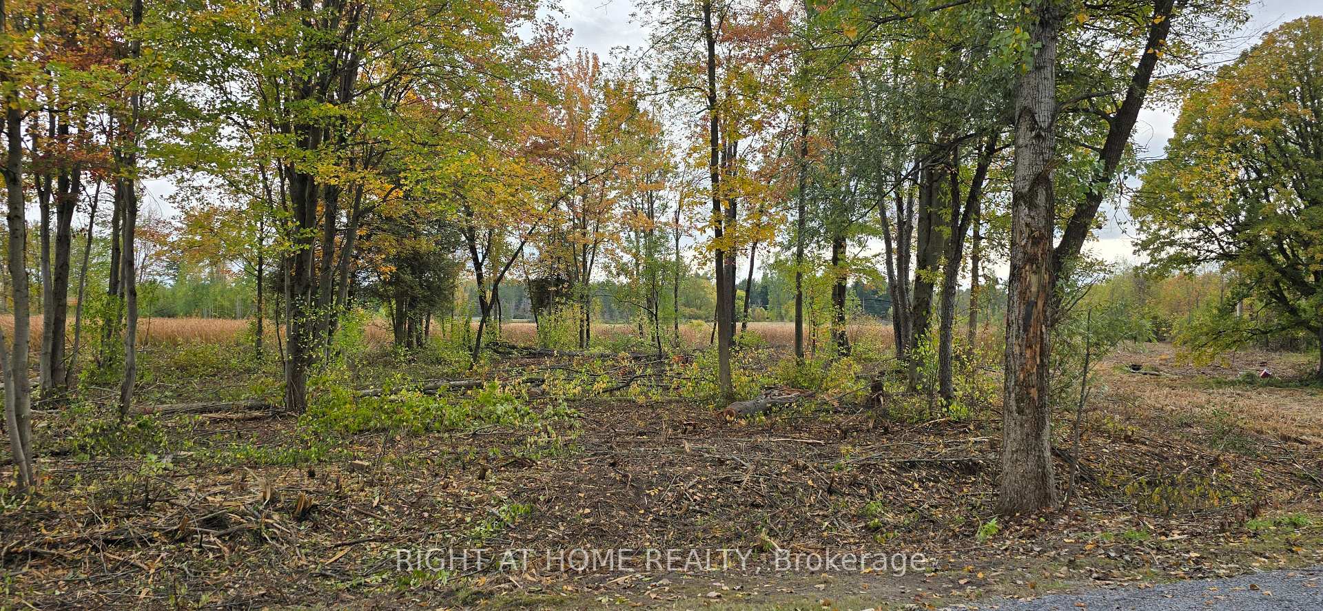 Photo 7 of Sutherland Drive, Ottawa, Manotick South to Roger Stevens — HOMEH