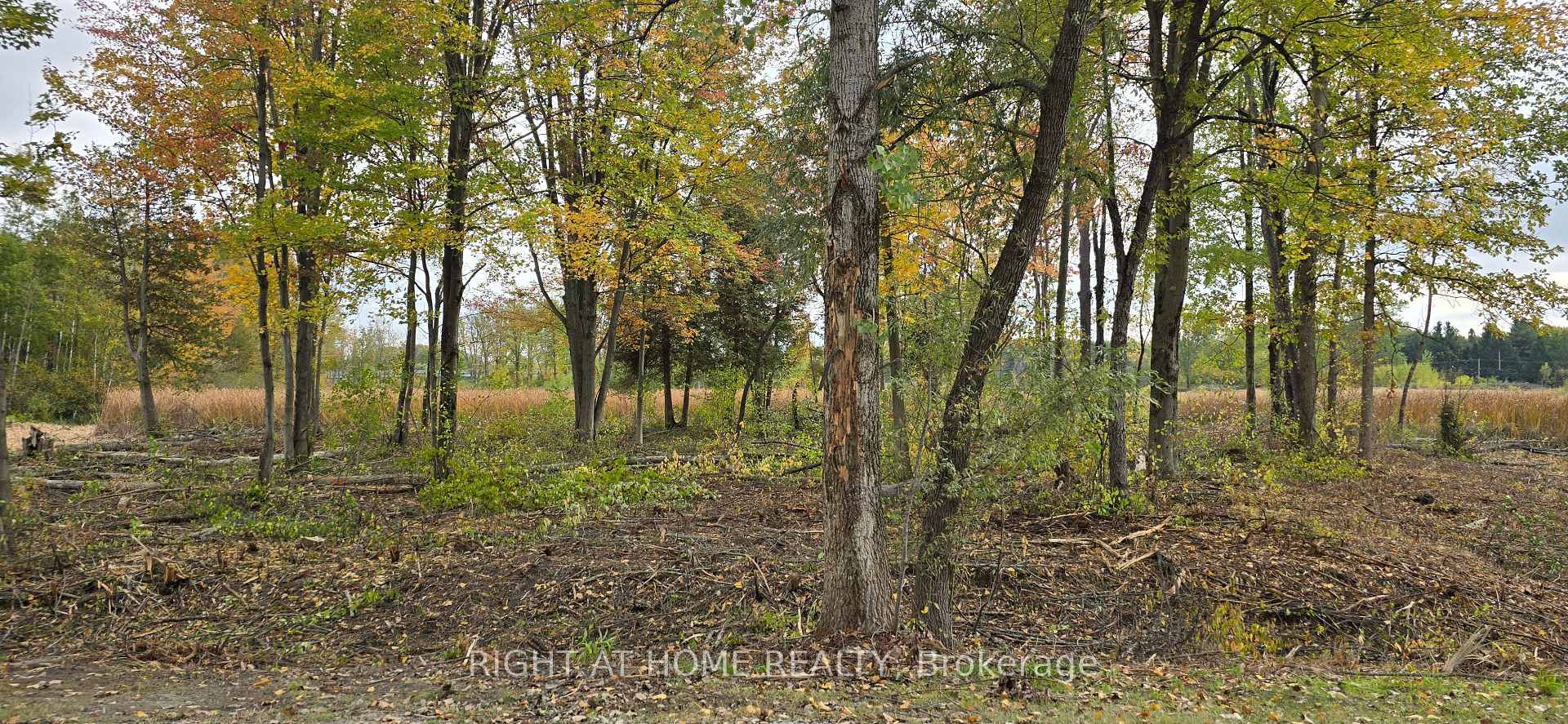 Photo 9 of Sutherland Drive, Ottawa, Manotick South to Roger Stevens — HOMEH