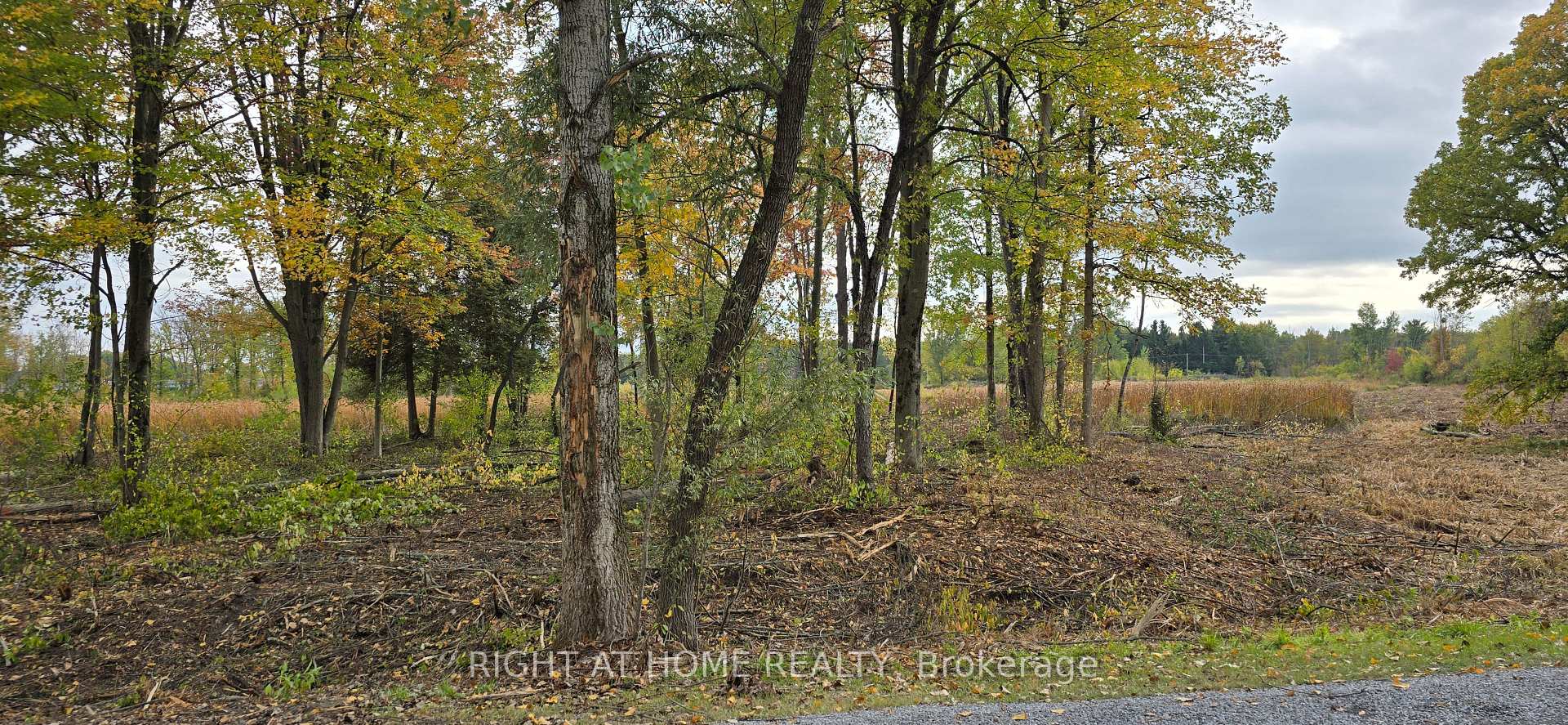Photo 10 of Sutherland Drive, Ottawa, Manotick South to Roger Stevens — HOMEH