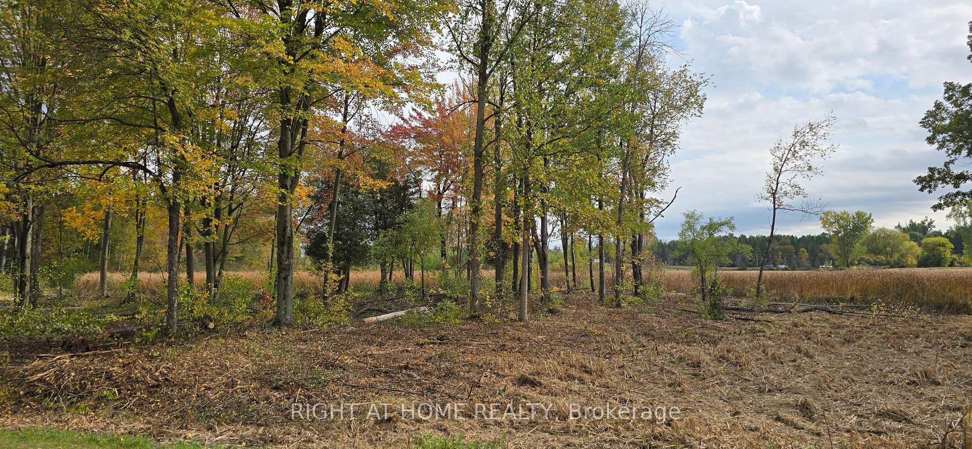 Photo 14 of Sutherland Drive, Ottawa, Manotick South to Roger Stevens — HOMEH