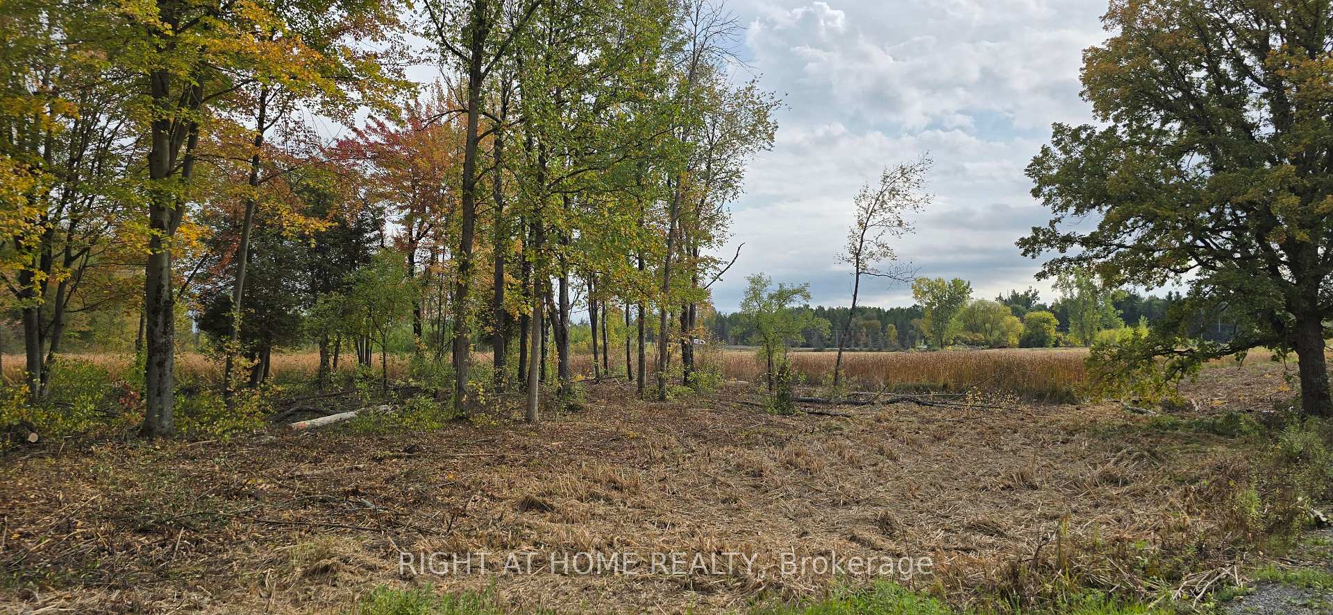 Photo 15 of Sutherland Drive, Ottawa, Manotick South to Roger Stevens — HOMEH