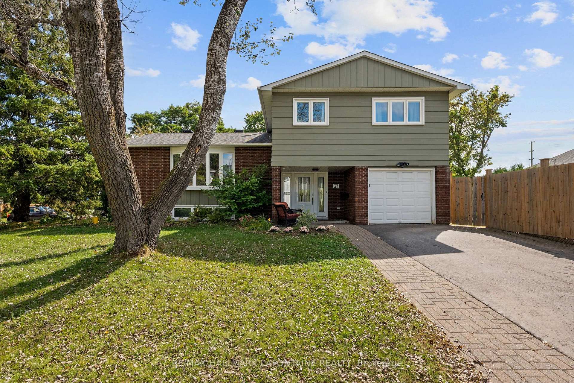 Photo of 37 Red Maple Crescent