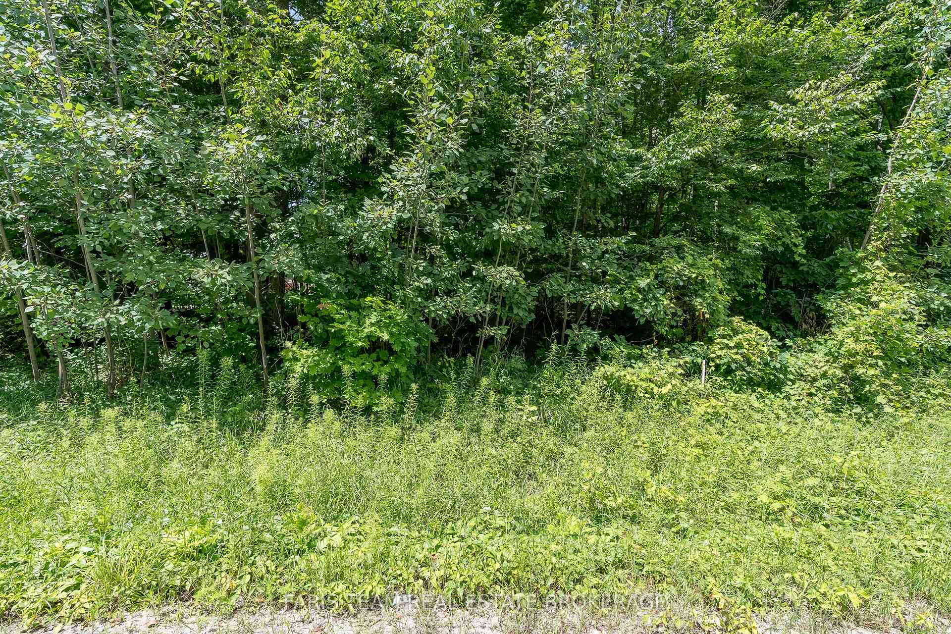 Photo 4 of 418 Concession 13 Road E, Tiny, Rural Tiny — HOMEH