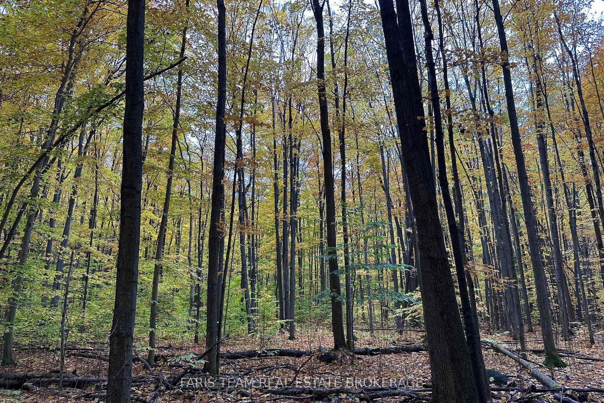 Photo 11 of 418 Concession 13 Road E, Tiny, Rural Tiny — HOMEH