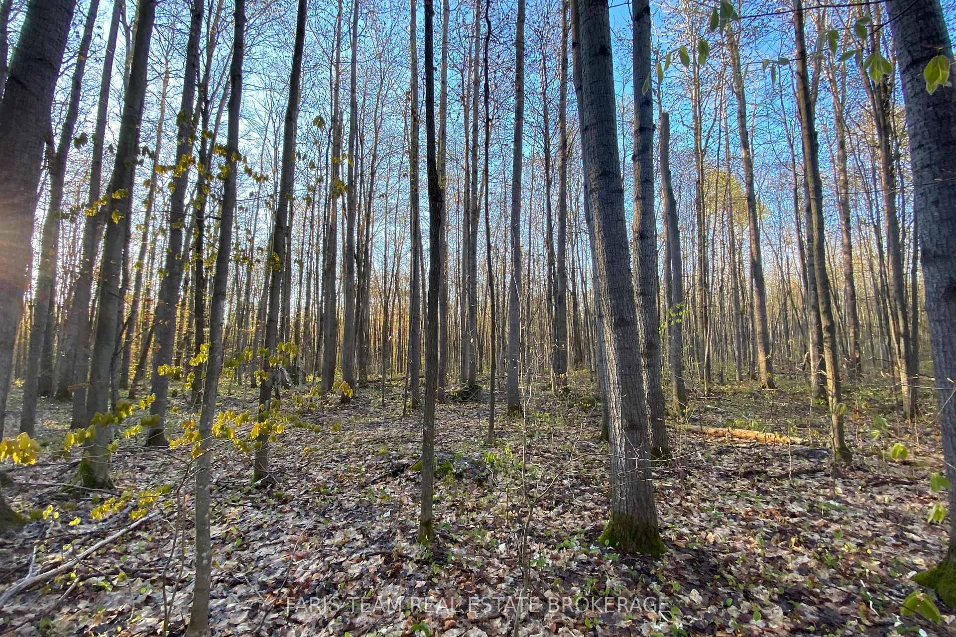 Photo 16 of 418 Concession 13 Road E, Tiny, Rural Tiny — HOMEH