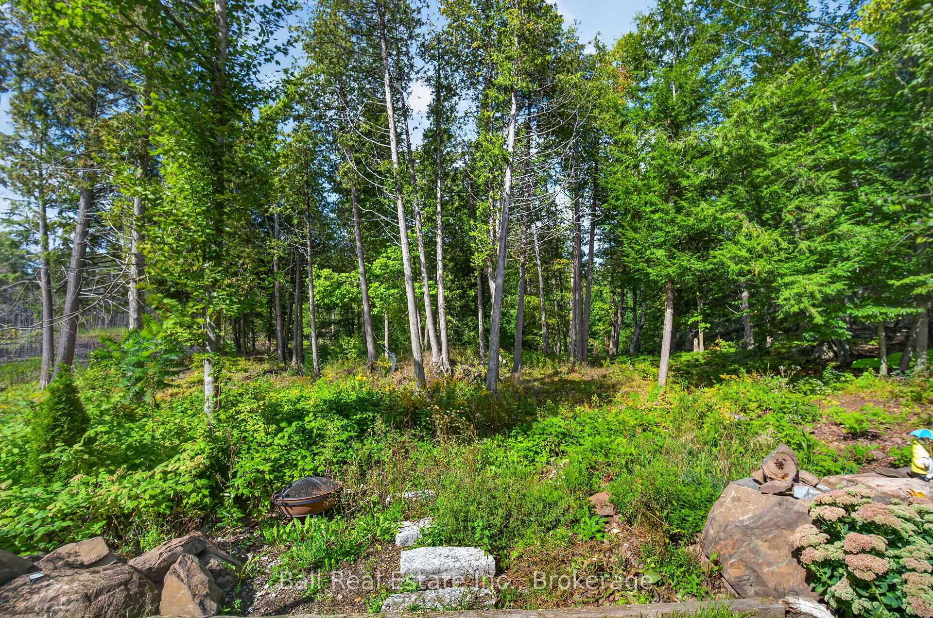 Photo 49 of 2350 Crowes Landing Road, Douro-Dummer — HOMEH