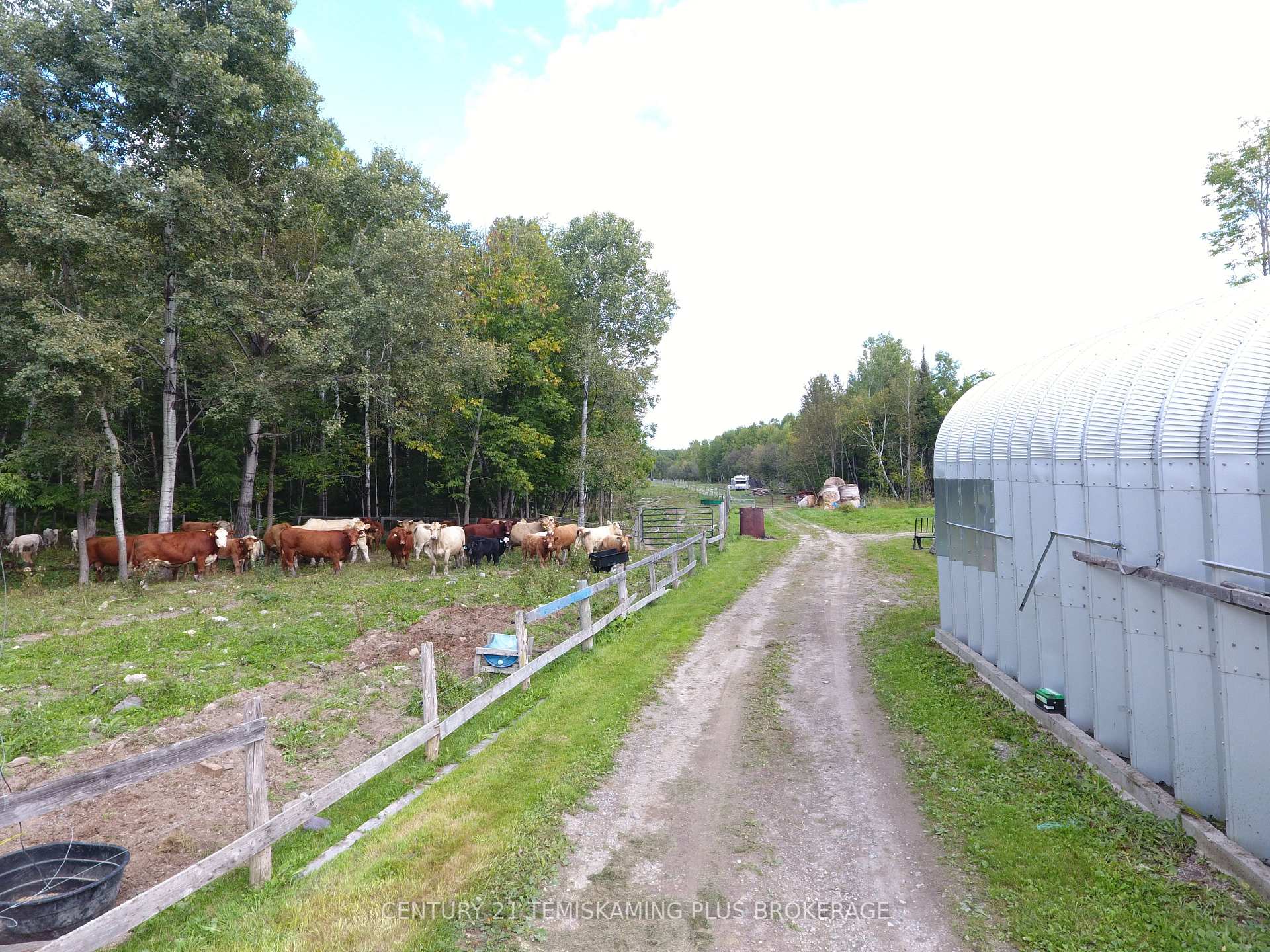 Photo 7 of 257039 Hillview Road, Timiskaming, TIM - Outside - Rural — HOMEH