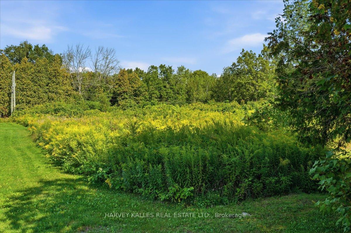 Photo 8 of Rapids Road, Tweed, Hungerford (Twp) — HOMEH