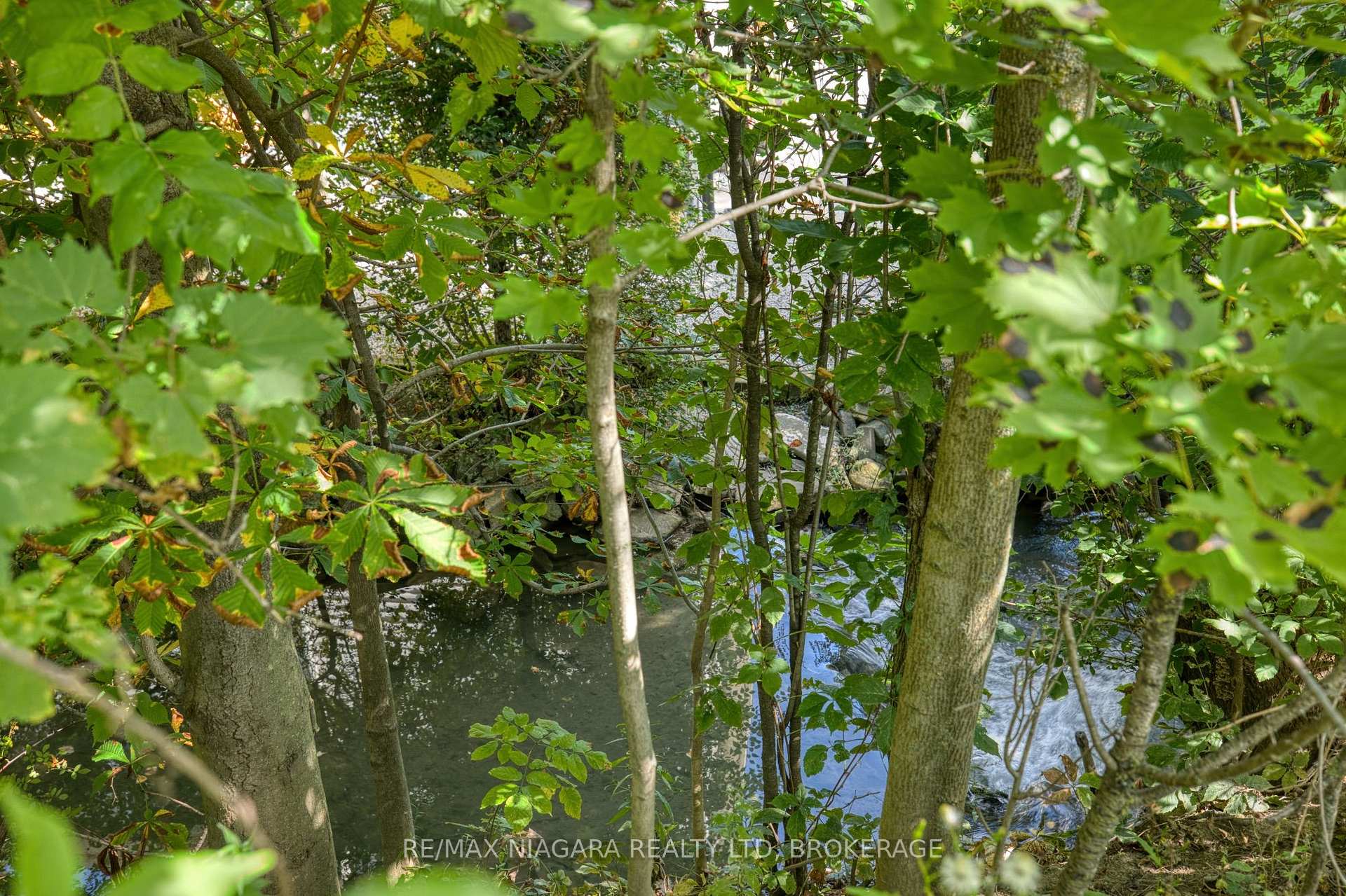 Photo 3 of 4166 Chippawa Parkway, Niagara Falls, Chippawa — HOMEH