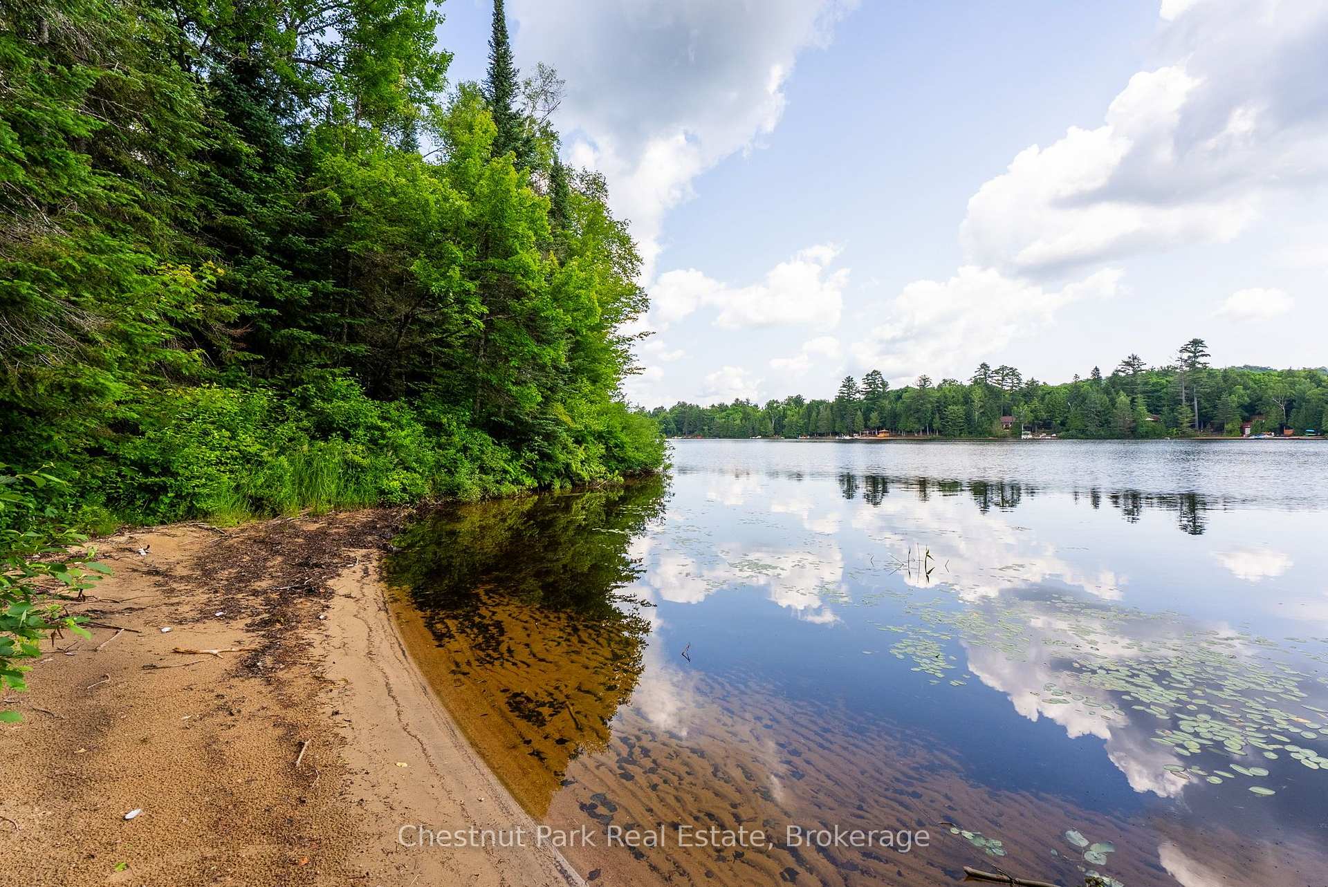 Photo 5 of 1136 Severn Lane, Algonquin Highlands, McClintock — HOMEH
