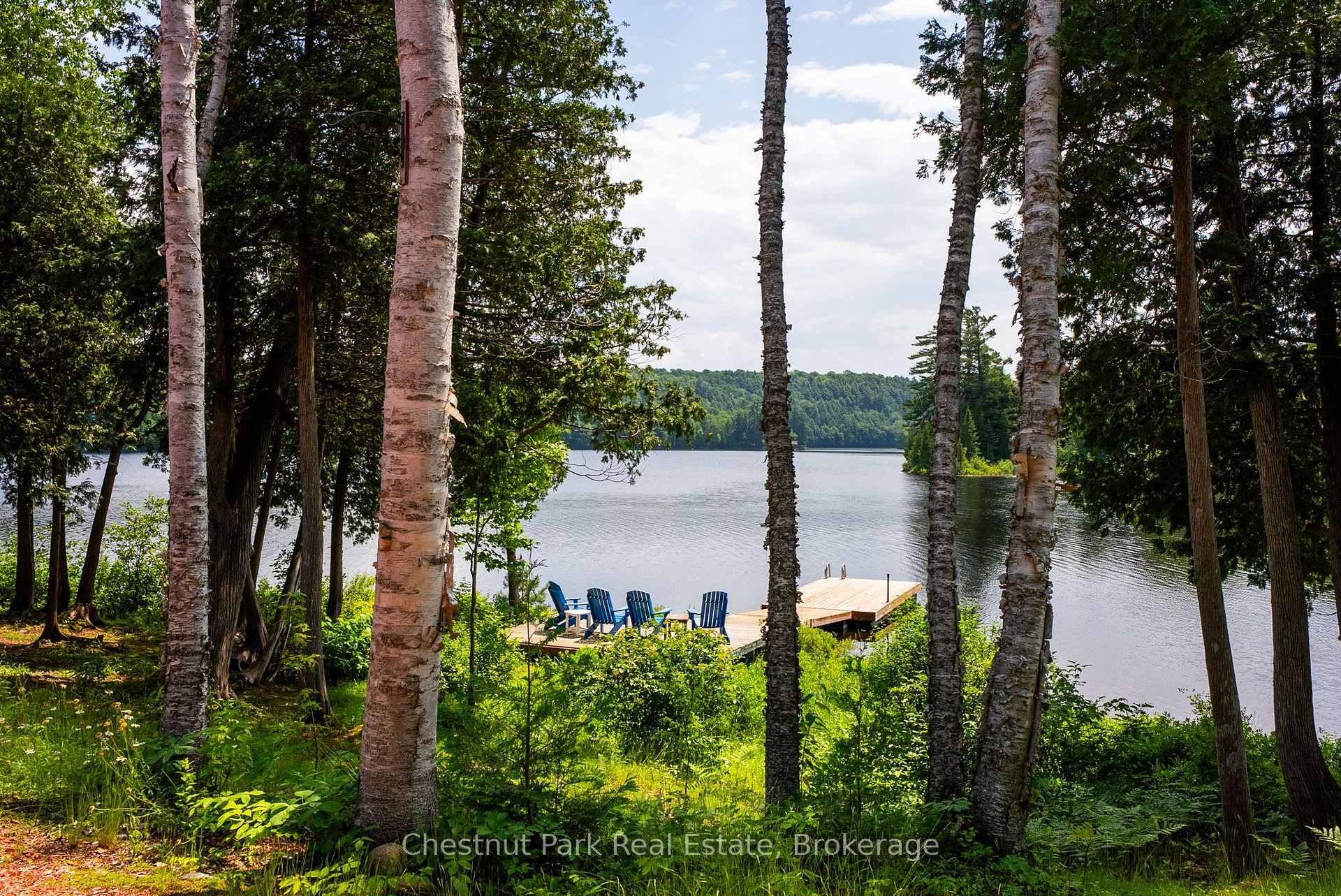 Photo 45 of 1136 Severn Lane, Algonquin Highlands, McClintock — HOMEH