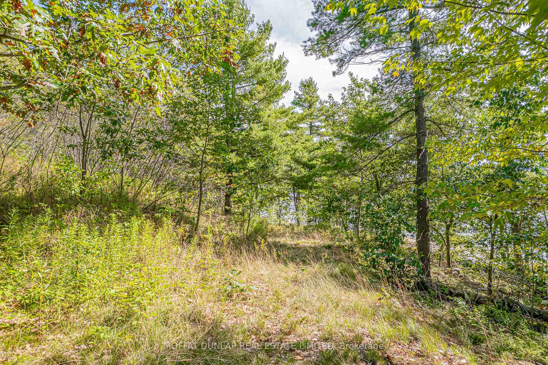 Photo 13 of 8 Moccasin Trail, Carling — HOMEH
