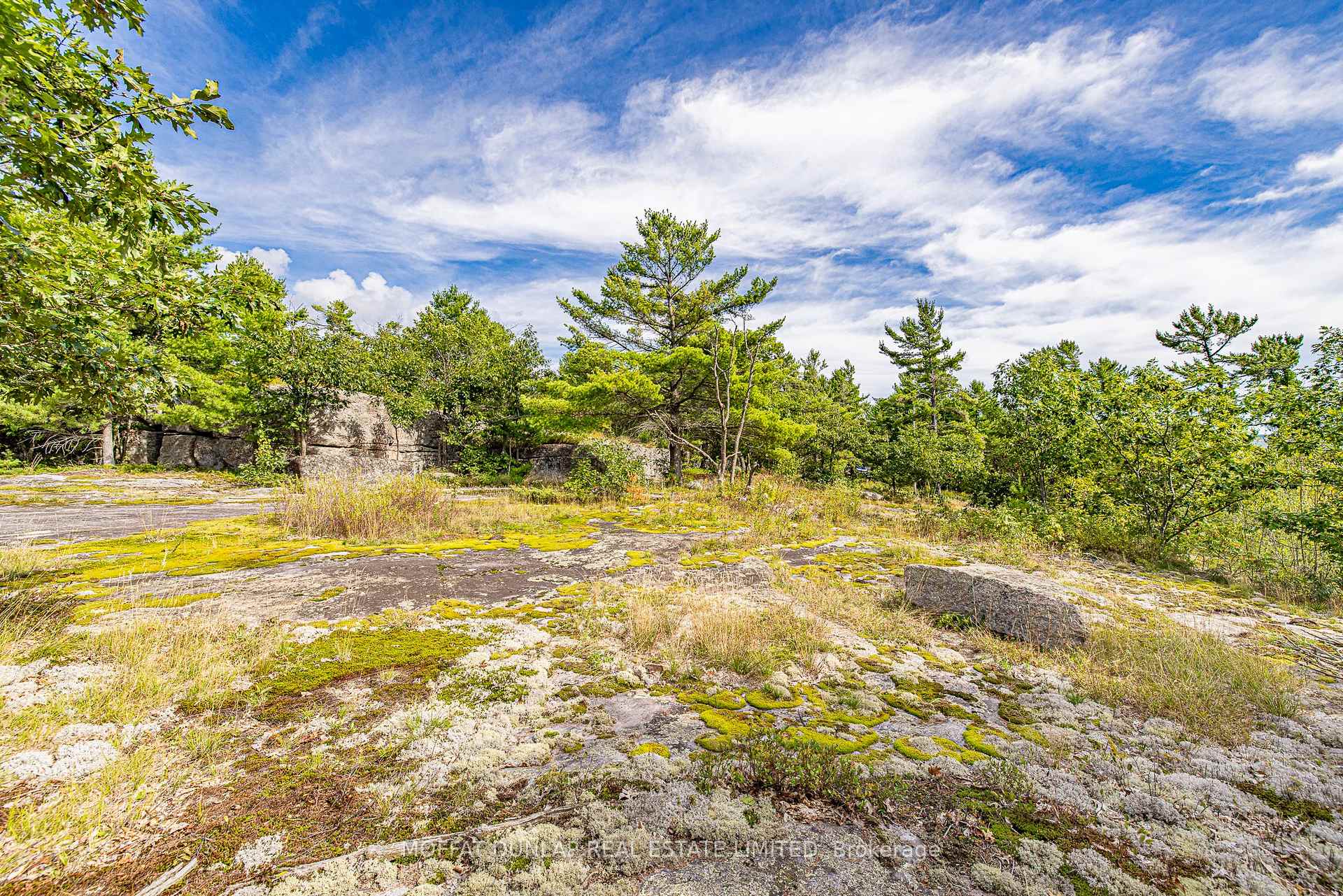 Photo 19 of 8 Moccasin Trail, Carling — HOMEH