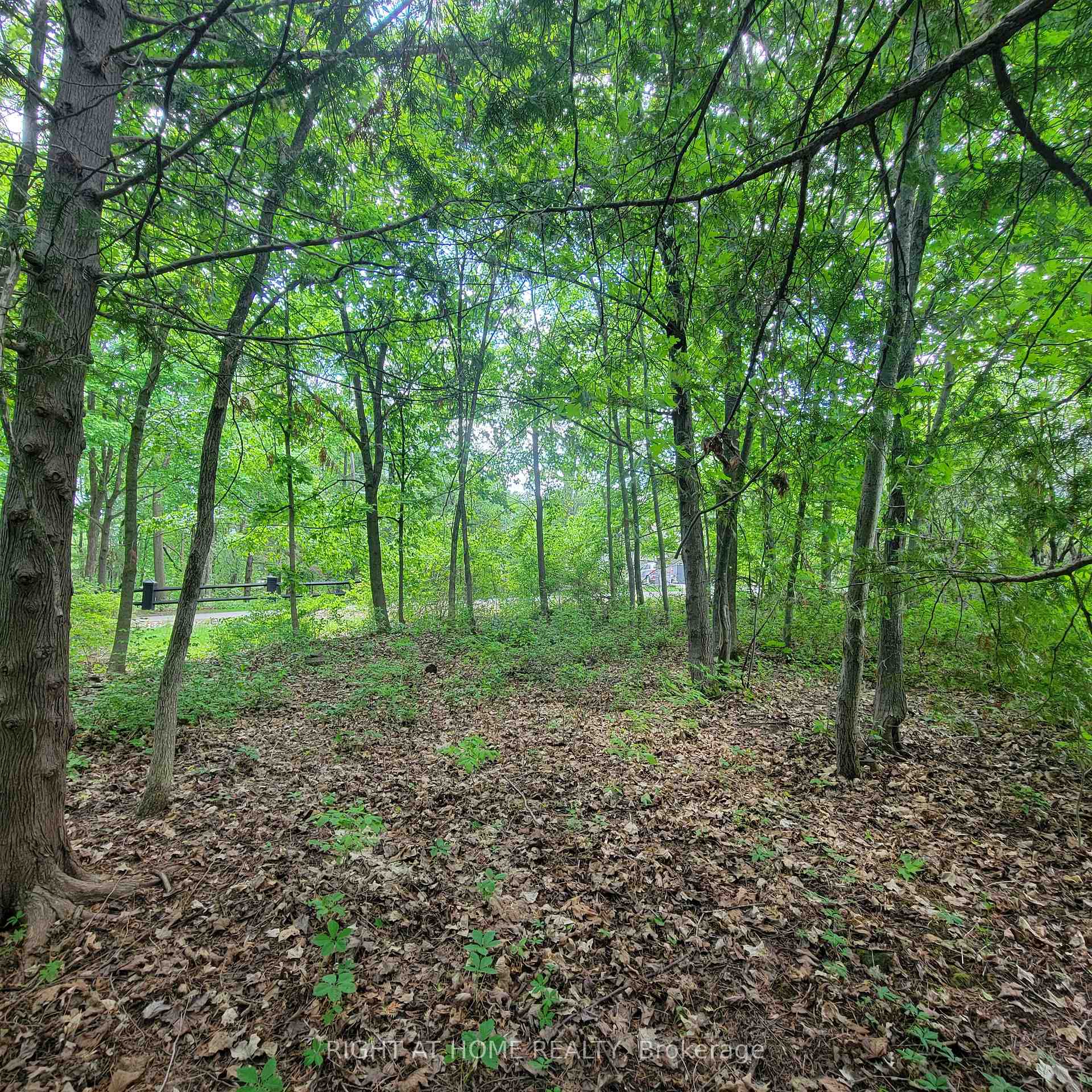 Photo 6 of 7 Beckenham Lane, Ottawa, Rothwell Heights — HOMEH