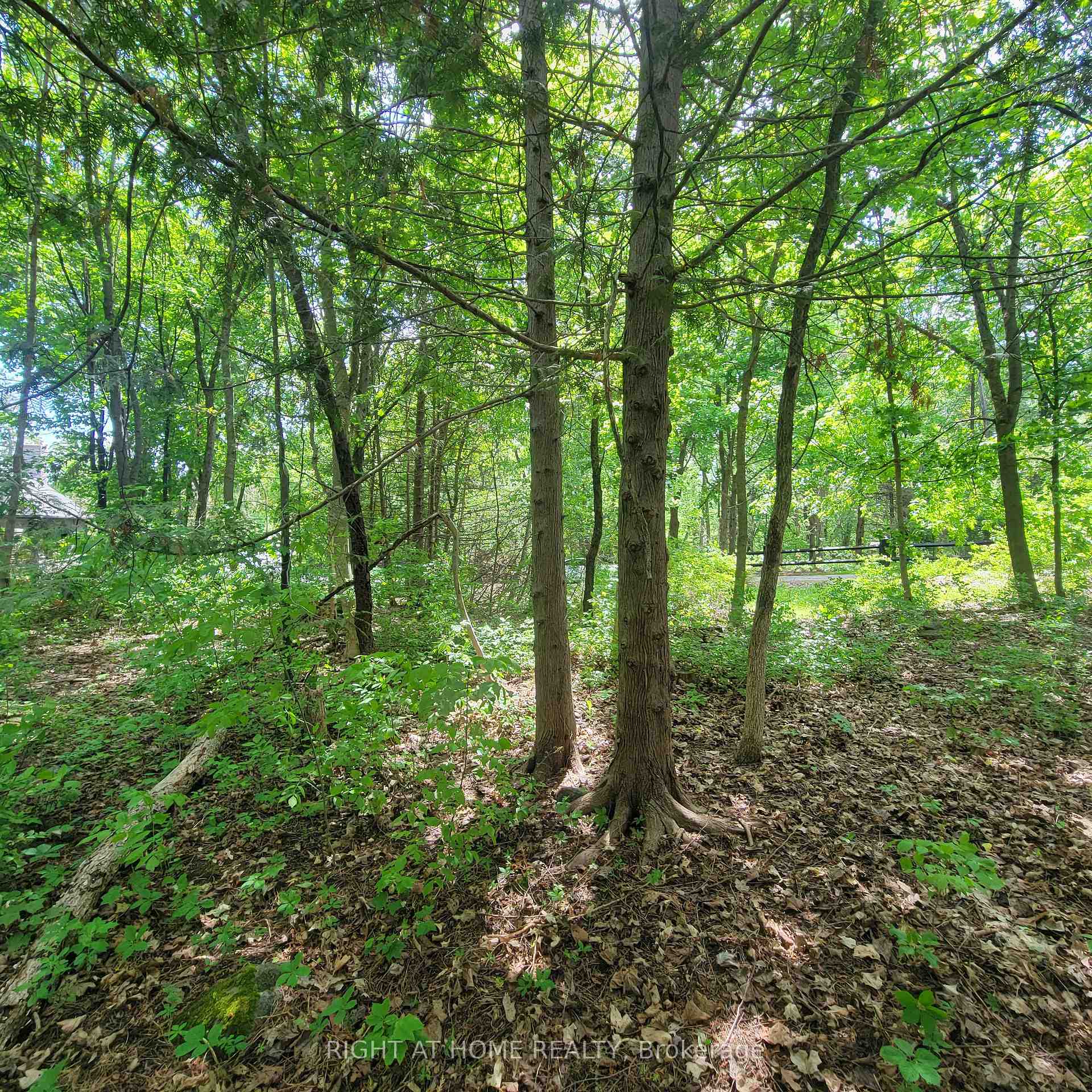 Photo 7 of 7 Beckenham Lane, Ottawa, Rothwell Heights — HOMEH