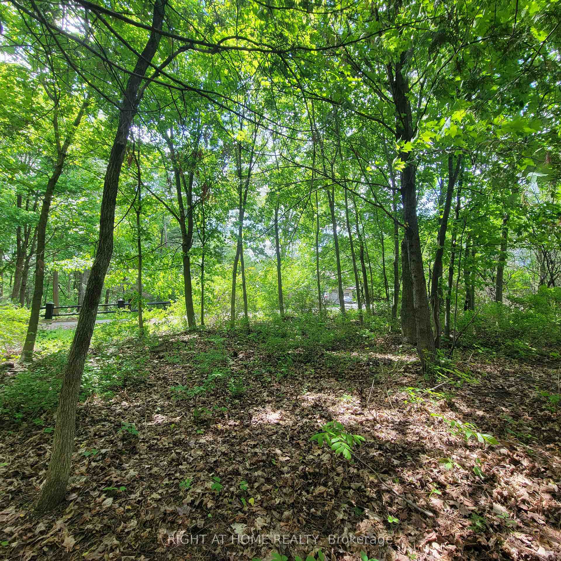 Photo 8 of 7 Beckenham Lane, Ottawa, Rothwell Heights — HOMEH